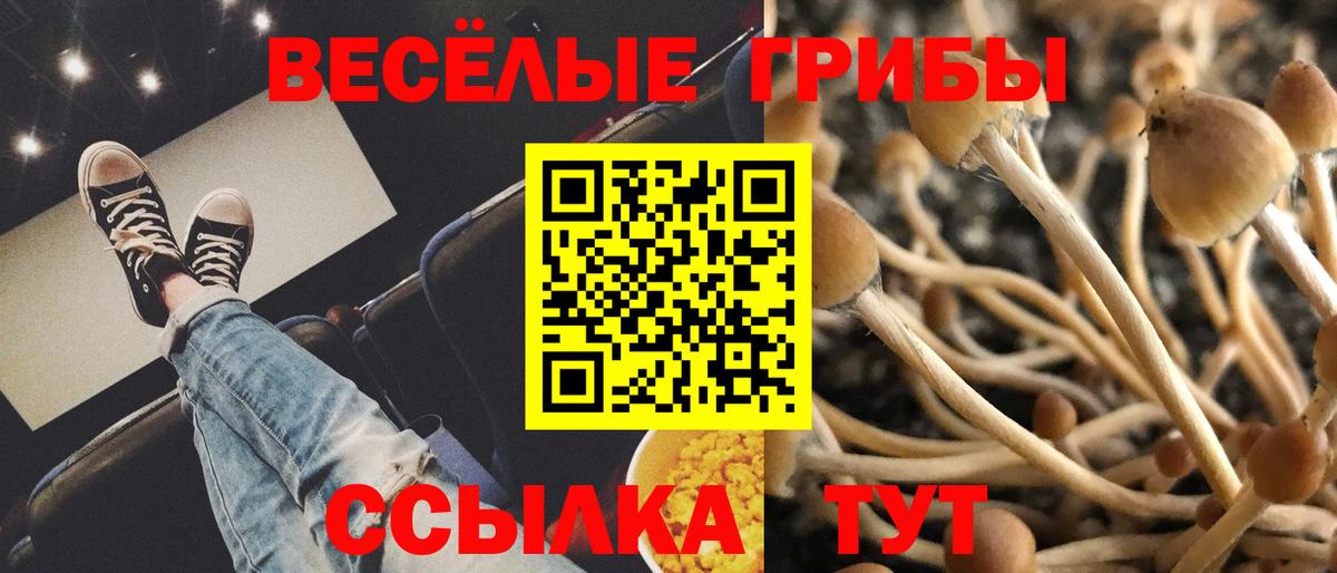 Псилоцибиновые грибы Magic Shrooms Тейково